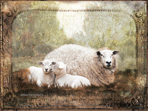 Vintage Ewe and Sleeping Lambs Black Ornate Wood Framed Art Print with Double Matting by Bluebird Barn