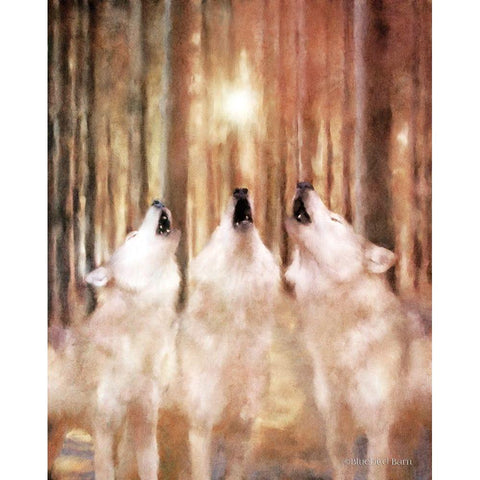 Three Wolf Howl Black Modern Wood Framed Art Print with Double Matting by Bluebird Barn