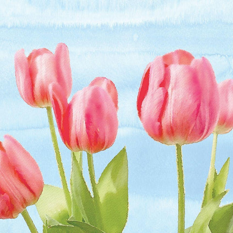 Fresh Spring Tulips I White Modern Wood Framed Art Print by Bluebird Barn