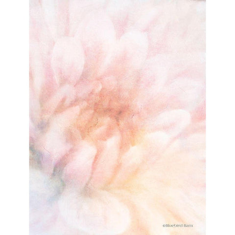 Soft Dahlia Pastel Peach Black Modern Wood Framed Art Print with Double Matting by Bluebird Barn