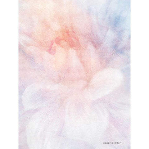 Soft Dahlia Pastel Peach Lilac White Modern Wood Framed Art Print by Bluebird Barn