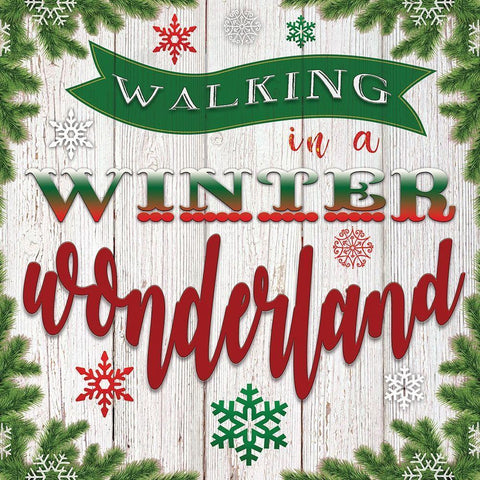 Walking in a Winter Wonderland White Modern Wood Framed Art Print with Double Matting by Bluebird Barn