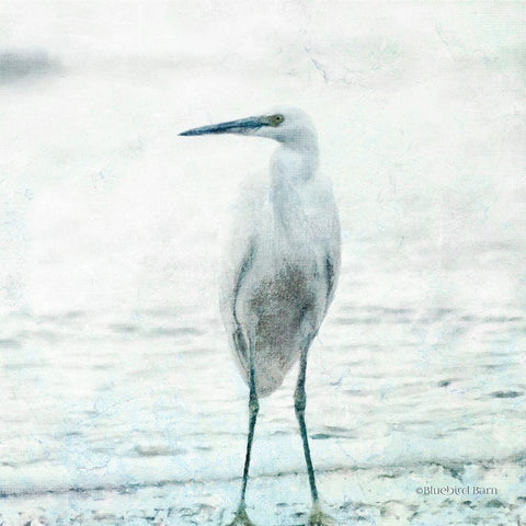 Beach Heron Black Modern Wood Framed Art Print with Double Matting by Bluebird Barn