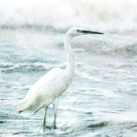 Coastal Heron White Modern Wood Framed Art Print with Double Matting by Bluebird Barn