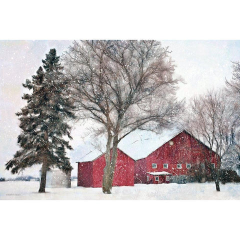 Snowy Barn    Black Modern Wood Framed Art Print with Double Matting by Bluebird Barn