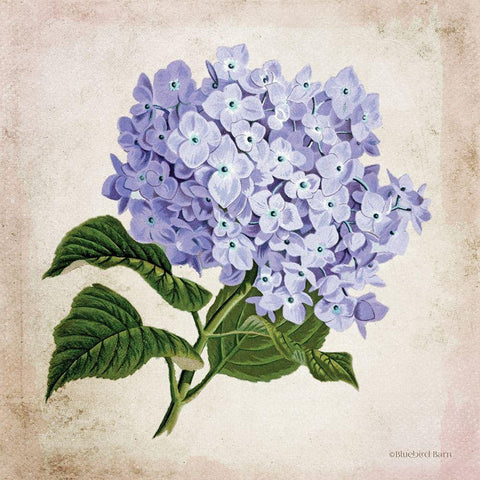 Vintage Lilac White Modern Wood Framed Art Print by Bluebird Barn