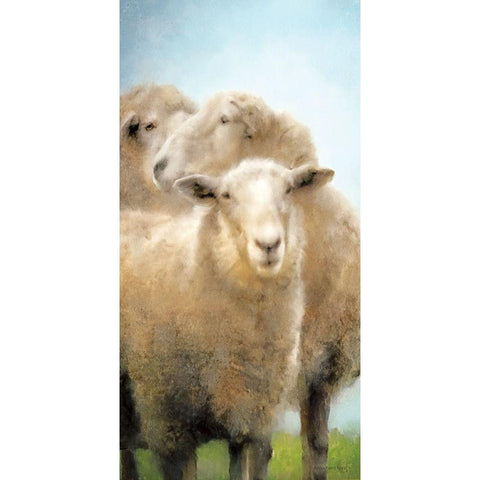 Three Sheep Portrait White Modern Wood Framed Art Print by Bluebird Barn