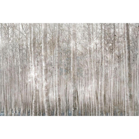 Birch Trees     Black Modern Wood Framed Art Print with Double Matting by Bluebird Barn