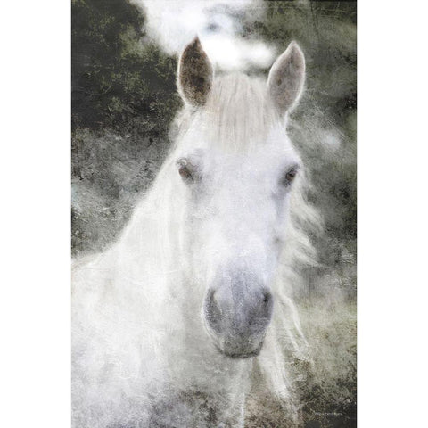 White Horse Mystique    White Modern Wood Framed Art Print by Bluebird Barn