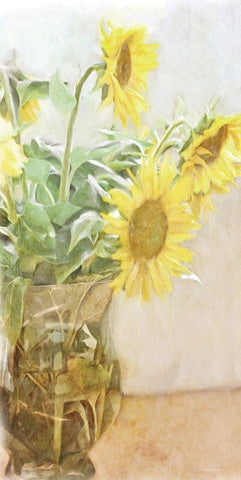 Sunflower    White Modern Wood Framed Art Print with Double Matting by Bluebird Barn