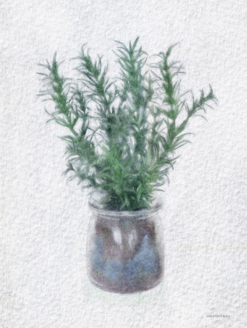 Rosemary Jar White Modern Wood Framed Art Print with Double Matting by Bluebird Barn