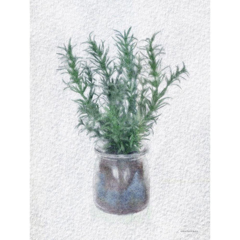 Rosemary Jar Black Modern Wood Framed Art Print with Double Matting by Bluebird Barn