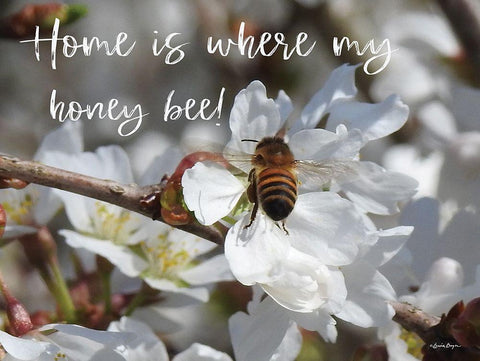 Home is Where My Honey Bee! Black Ornate Wood Framed Art Print with Double Matting by Boyer, Susie