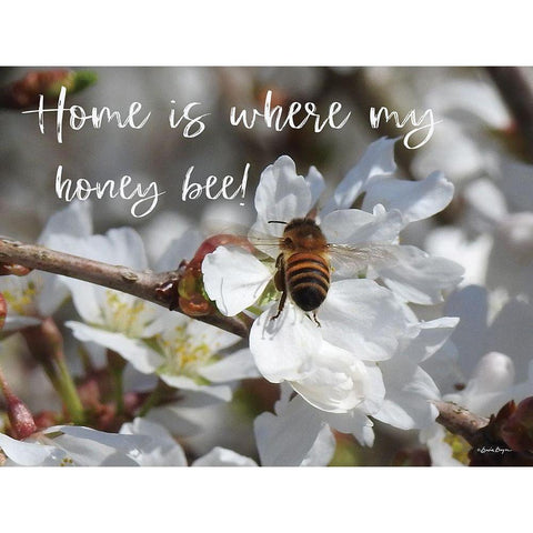 Home is Where My Honey Bee! White Modern Wood Framed Art Print by Boyer, Susie