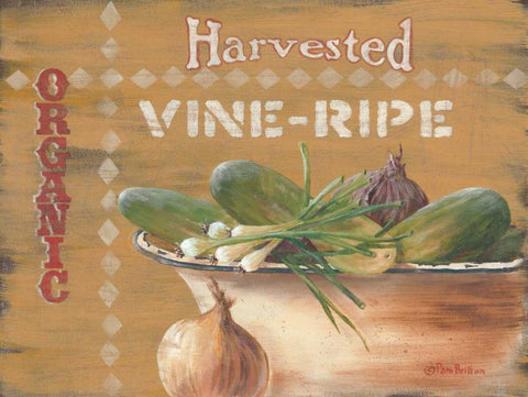 Vine Ripe White Modern Wood Framed Art Print with Double Matting by Britton, Pam