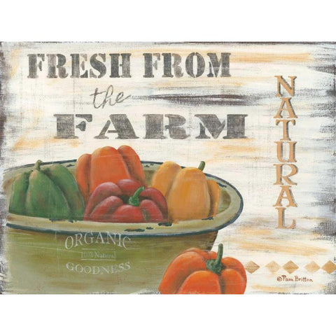 Fresh from the Farm Black Modern Wood Framed Art Print by Britton, Pam