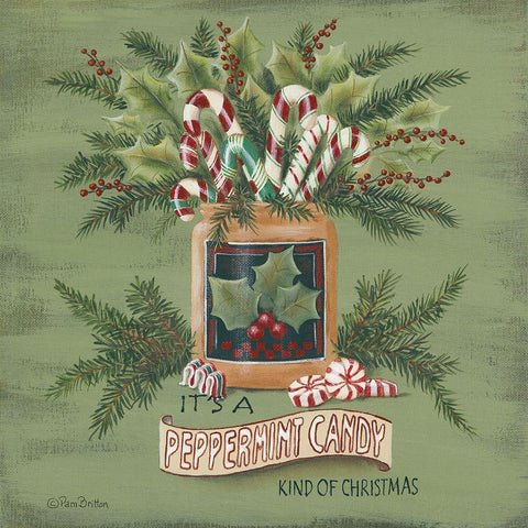 A Peppermint Christmas   White Modern Wood Framed Art Print with Double Matting by Britton, Pam