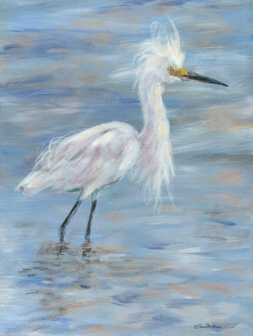 Egret White Modern Wood Framed Art Print with Double Matting by Britton, Pam