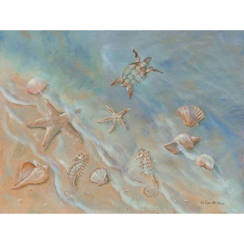 Seashore Star II White Modern Wood Framed Art Print by Britton, Pam