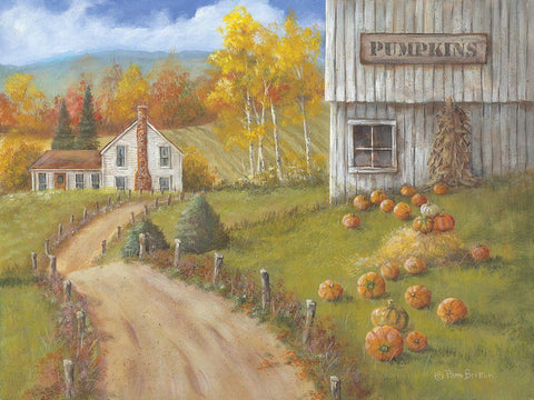 Harvest Pumpkin Farm White Modern Wood Framed Art Print with Double Matting by Britton, Pam