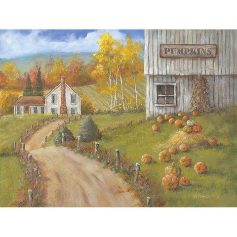 Harvest Pumpkin Farm White Modern Wood Framed Art Print by Britton, Pam