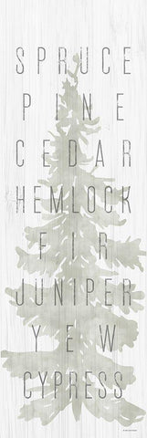 Pine Types Black Ornate Wood Framed Art Print with Double Matting by Lady Louise Designs