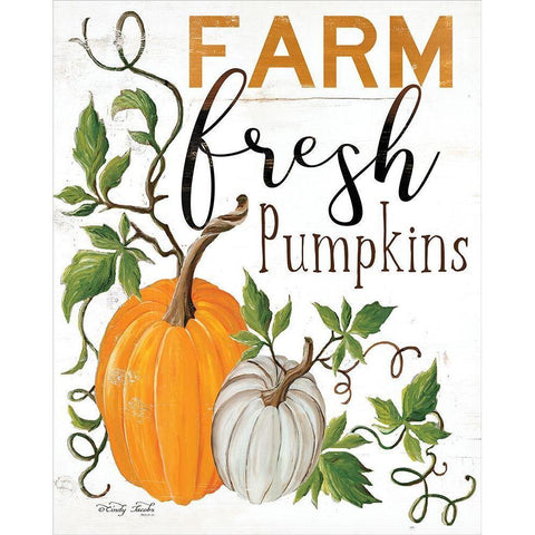 Farm Fresh Pumpkins Black Modern Wood Framed Art Print with Double Matting by Jacobs, Cindy