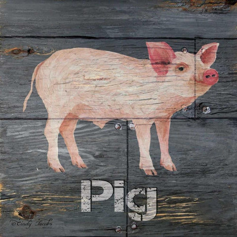 Pig Black Modern Wood Framed Art Print with Double Matting by Jacobs, Cindy