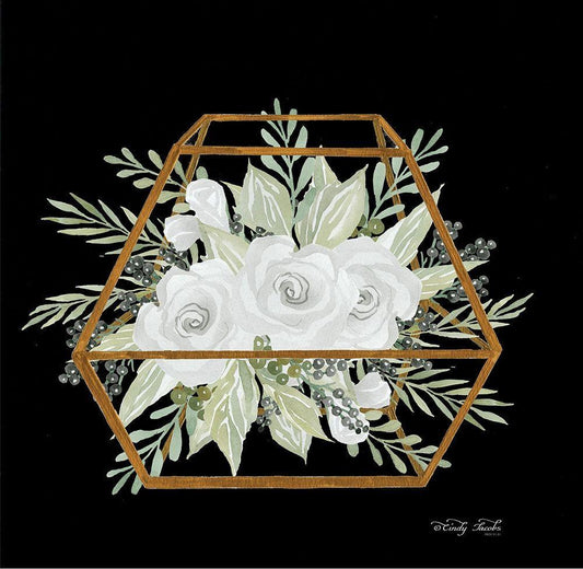 Image Only