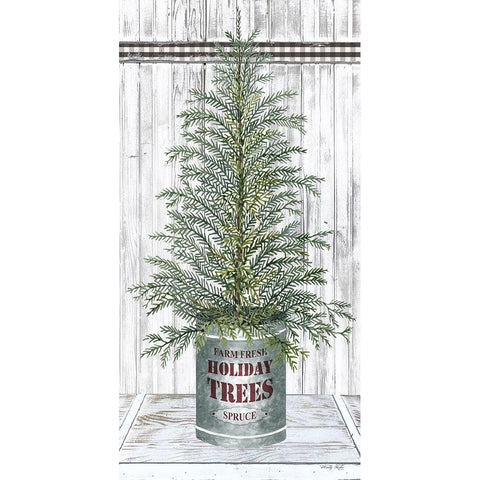 Galvanized Pot Spruce White Modern Wood Framed Art Print by Jacobs, Cindy