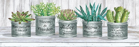 Galvanized Pot Succulents II White Modern Wood Framed Art Print with Double Matting by Jacobs, Cindy