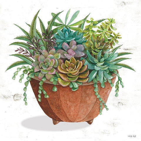 Terracotta Succulents I    White Modern Wood Framed Art Print by Jacobs, Cindy