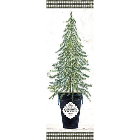 Fir Tree    White Modern Wood Framed Art Print by Jacobs, Cindy