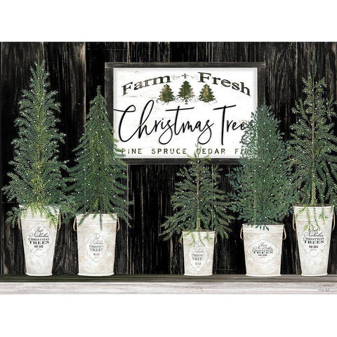 Farm Fresh Christmas Trees    White Modern Wood Framed Art Print by Jacobs, Cindy