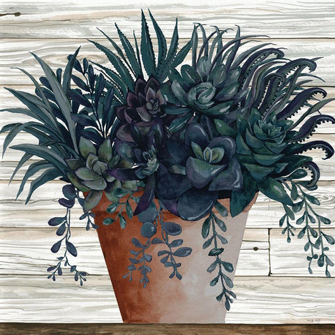 Remarkable Succulents I Black Modern Wood Framed Art Print with Double Matting by Jacobs, Cindy