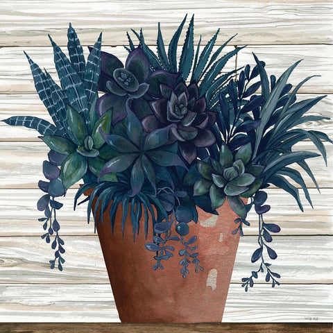 Remarkable Succulents II Black Modern Wood Framed Art Print with Double Matting by Jacobs, Cindy