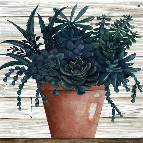 Remarkable Succulents III Black Ornate Wood Framed Art Print with Double Matting by Jacobs, Cindy