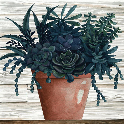 Remarkable Succulents III Black Modern Wood Framed Art Print with Double Matting by Jacobs, Cindy