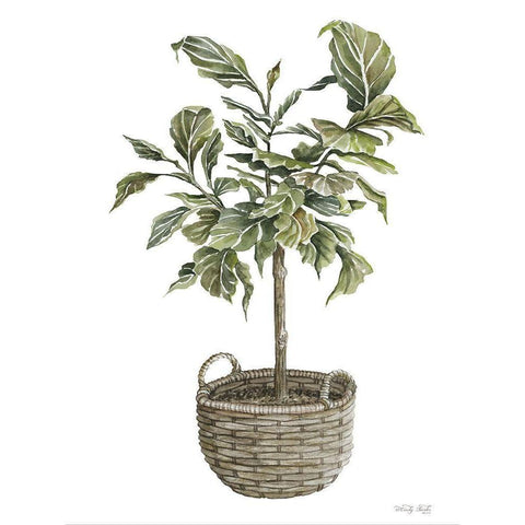 Fig Tree I Black Modern Wood Framed Art Print with Double Matting by Jacobs, Cindy