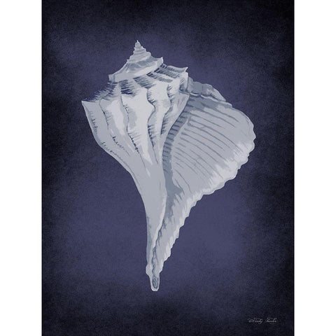 Blue Seashell II      White Modern Wood Framed Art Print by Jacobs, Cindy