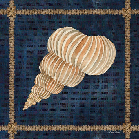 Seashell on Navy III White Modern Wood Framed Art Print with Double Matting by Jacobs, Cindy