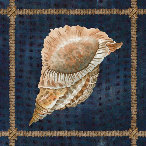 Seashell on Navy VI White Modern Wood Framed Art Print by Jacobs, Cindy