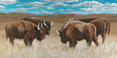 Bison Herd II White Modern Wood Framed Art Print with Double Matting by Jacobs, Cindy