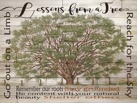 Lessons from a Tree White Modern Wood Framed Art Print with Double Matting by Jacobs, Cindy