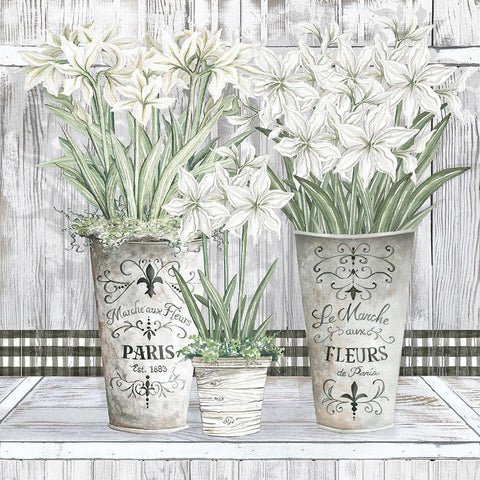 Amaryllis Multi Pots Black Ornate Wood Framed Art Print with Double Matting by Jacobs, Cindy