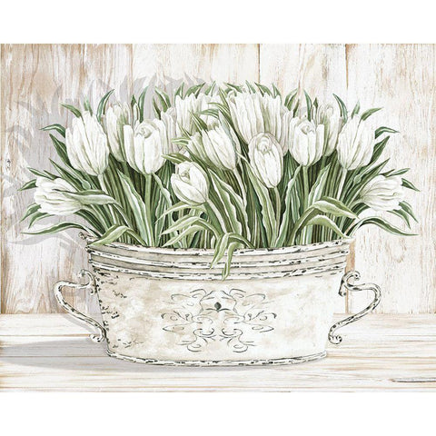 Tulips in White Chipped Pail Black Modern Wood Framed Art Print with Double Matting by Jacobs, Cindy