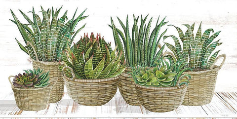 Succulent Baskets Black Ornate Wood Framed Art Print with Double Matting by Jacobs, Cindy