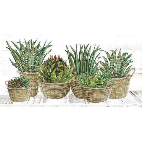 Succulent Baskets Black Modern Wood Framed Art Print with Double Matting by Jacobs, Cindy