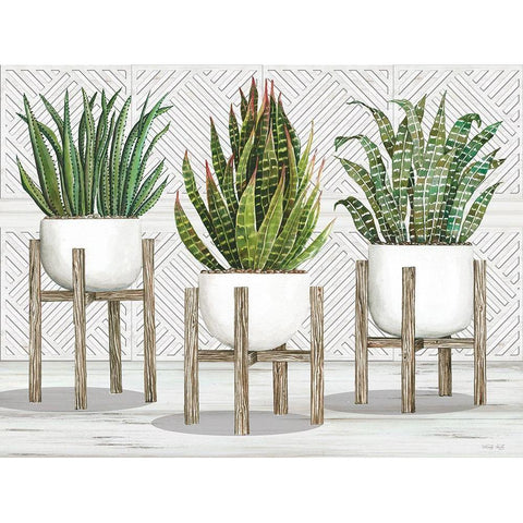 Succulent Trio on Stands White Modern Wood Framed Art Print by Jacobs, Cindy