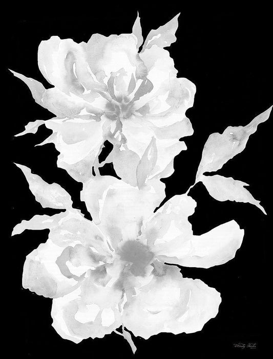 Image Only